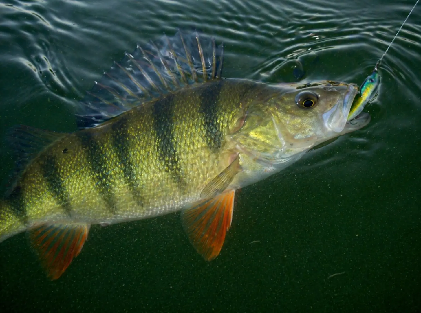 Skutečná hodnota